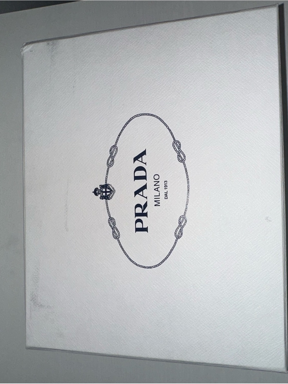Prada dust bags (image)